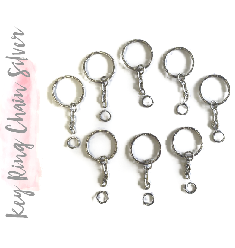 Key Ring W. Chain (Package.Price)