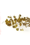 Studs Earring Back Gold (Package.Price)